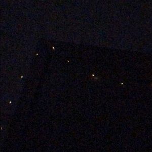 Meet your Posher, Frankie